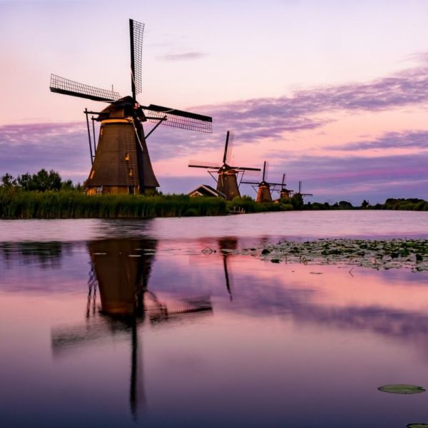 Terug naar Nederland voor de studie onderhoud de Nederlandse taal